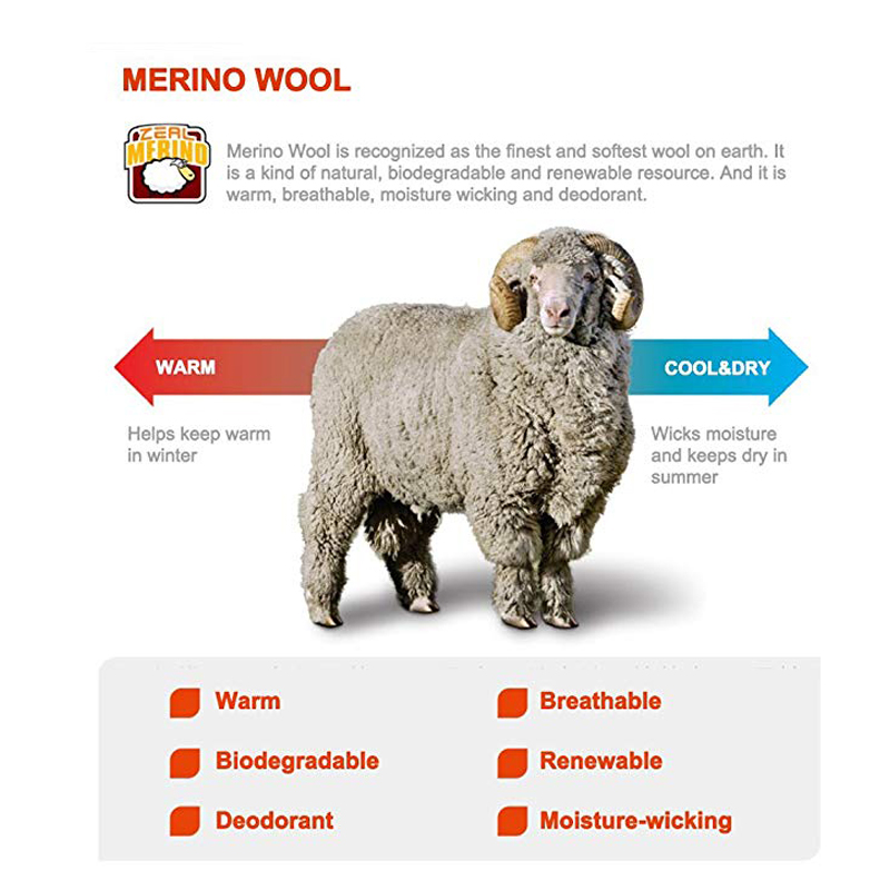 جوارب رياضية من صوف المارينو س - مراجعة Thermal Sock Merino وسعره